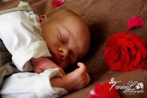 Fanny L. Photographe - Photographe mariage - 2 Fanny L. Photographe - Photographe mariage - 2