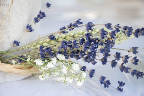 Sarah Varlet Photographie - Photographe mariage - 2 Sarah Varlet Photographie - Photographe mariage - 2