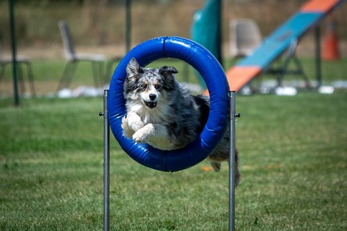 Photographe - Fourcoil - photo 35