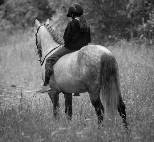 Photographe - Fourcoil - photo 17