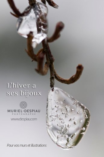 Muriel Despiau - Photographe - 1 Muriel Despiau - Photographe - 1