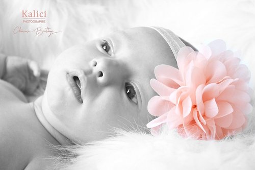 KALICI PHOTOGRAPHIE - Photographe mariage - 2 KALICI PHOTOGRAPHIE - Photographe mariage - 2