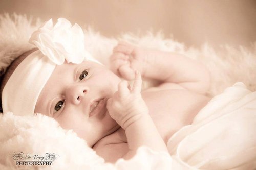 Elsa Dupuy Photography - Photographe - 1 Elsa Dupuy Photography - Photographe - 1