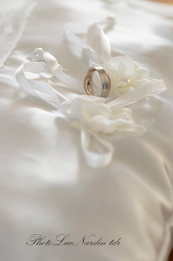 Nardin luc - Photographe mariage - 1 Nardin luc - Photographe mariage - 1