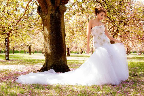 SN.ARTS - Photographe mariage - 1 SN.ARTS - Photographe mariage - 1