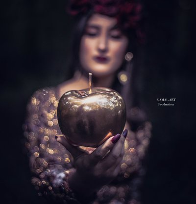 Amal Art Production - Photographe mariage - 2 Amal Art Production - Photographe mariage - 2