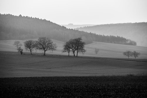 CAILLIER NATHALIE - Photographe - 2 CAILLIER NATHALIE - Photographe - 2