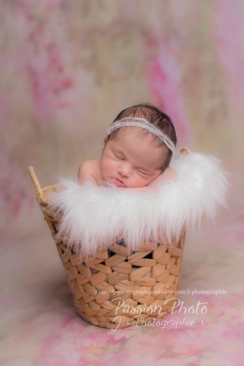 PASSION PHOTO J PHOTOGRAPHIE - Photographe mariage - 1 PASSION PHOTO J PHOTOGRAPHIE - Photographe mariage - 1