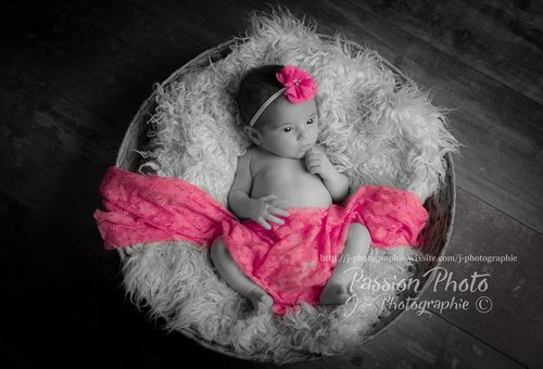 PASSION PHOTO J PHOTOGRAPHIE - Photographe mariage - 2 PASSION PHOTO J PHOTOGRAPHIE - Photographe mariage - 2