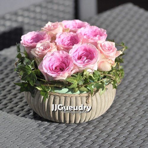 JJGueudry-Photographe Paris - Photographe mariage - 1 JJGueudry-Photographe Paris - Photographe mariage - 1