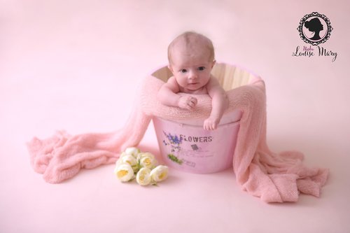 Studio Louise MARY - Photographe - 1 Studio Louise MARY - Photographe - 1